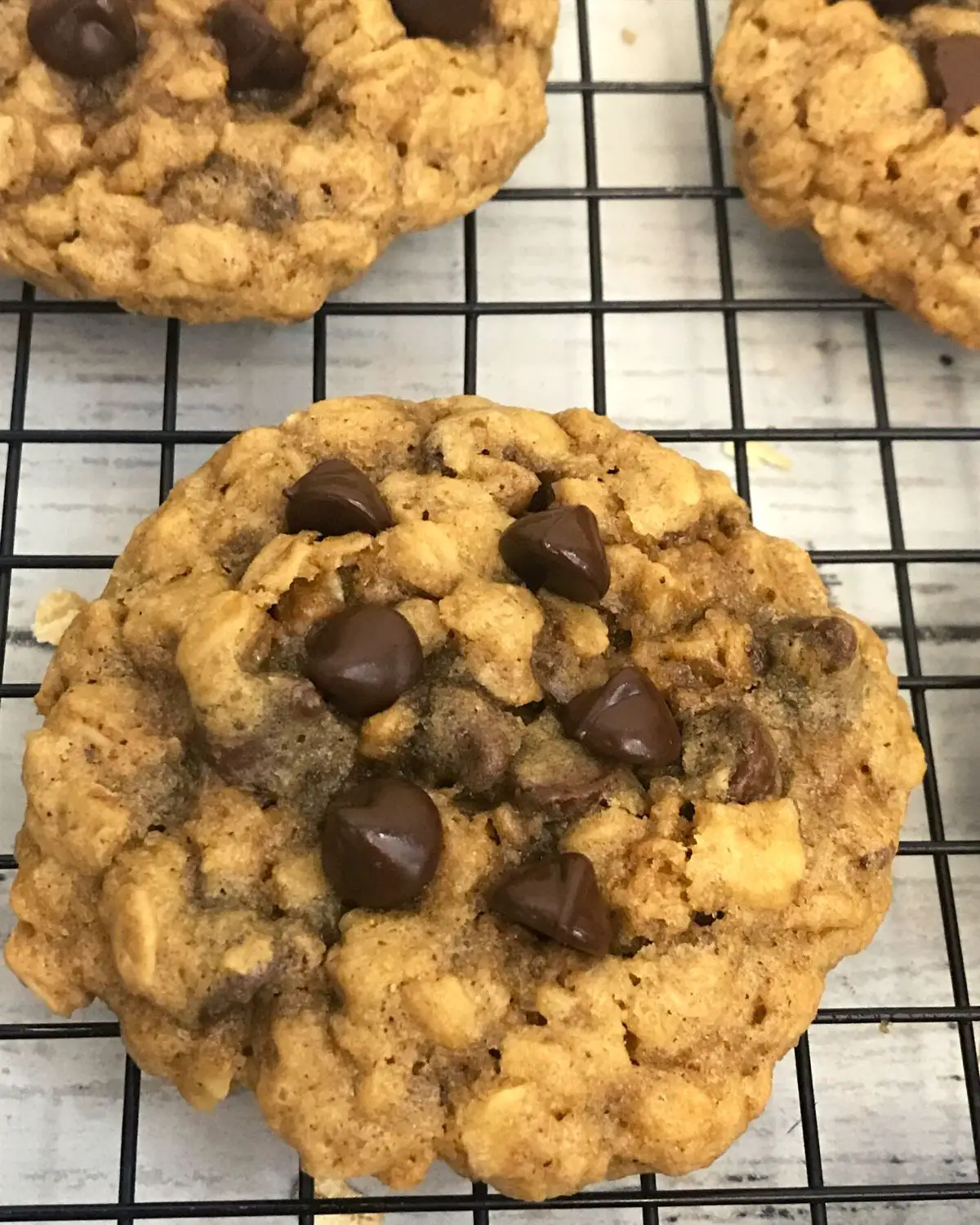oatmeal chocolate chip cookies in a cooling rack